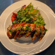 Japanese BBQ Eel Rice <br /> 日式烤鳗鱼饭    